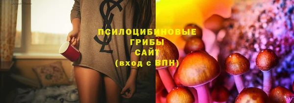 Альфа ПВП Абаза