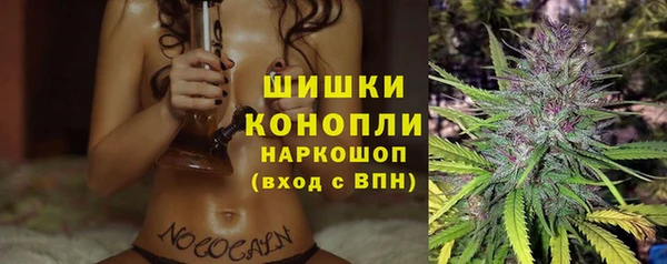 гашик Алзамай